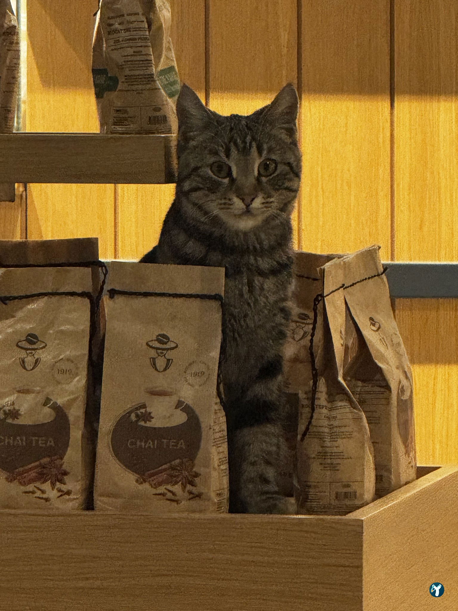 Coffee 1919 Batıkent