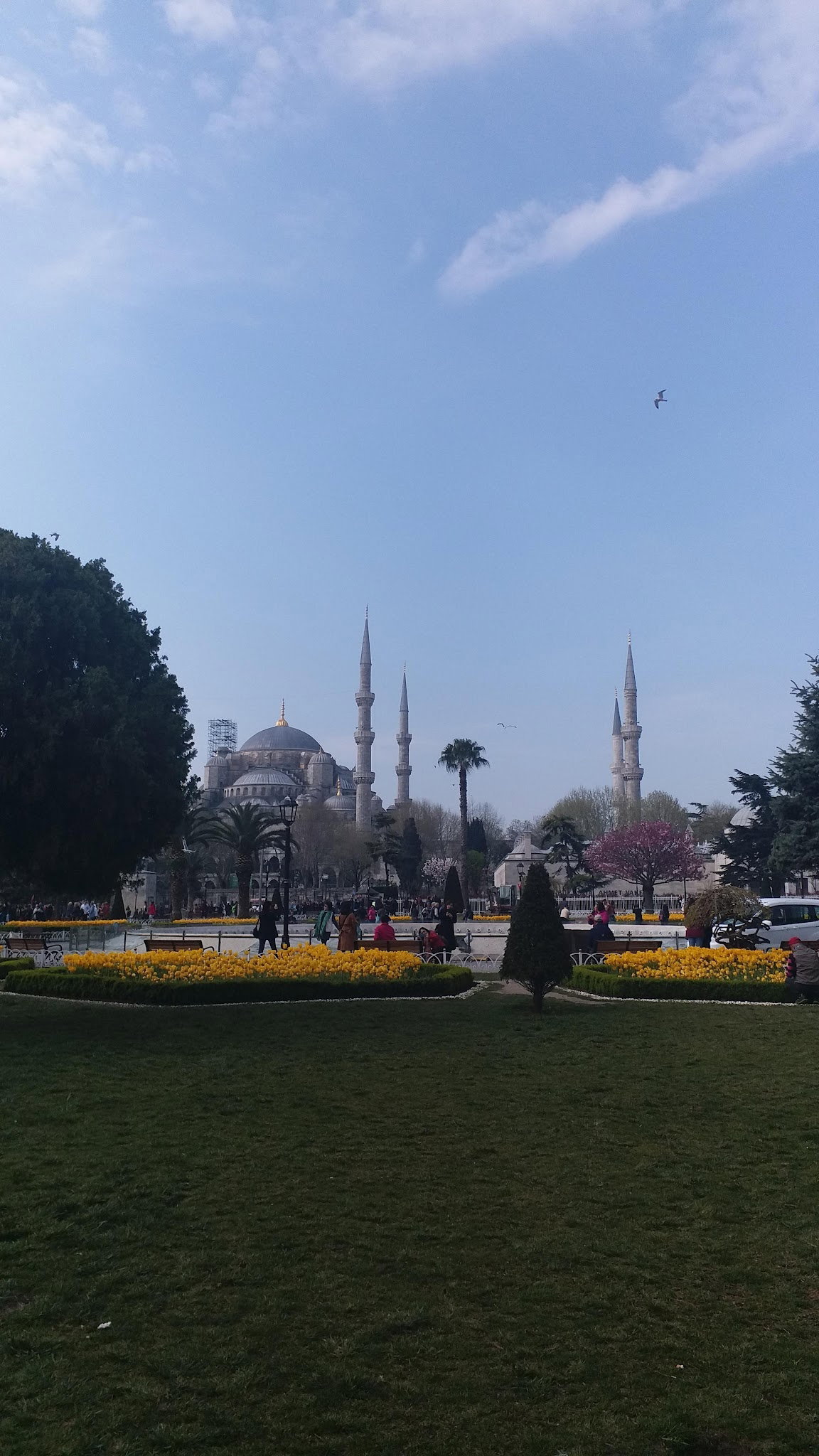 Şafak Restaurant & Pub