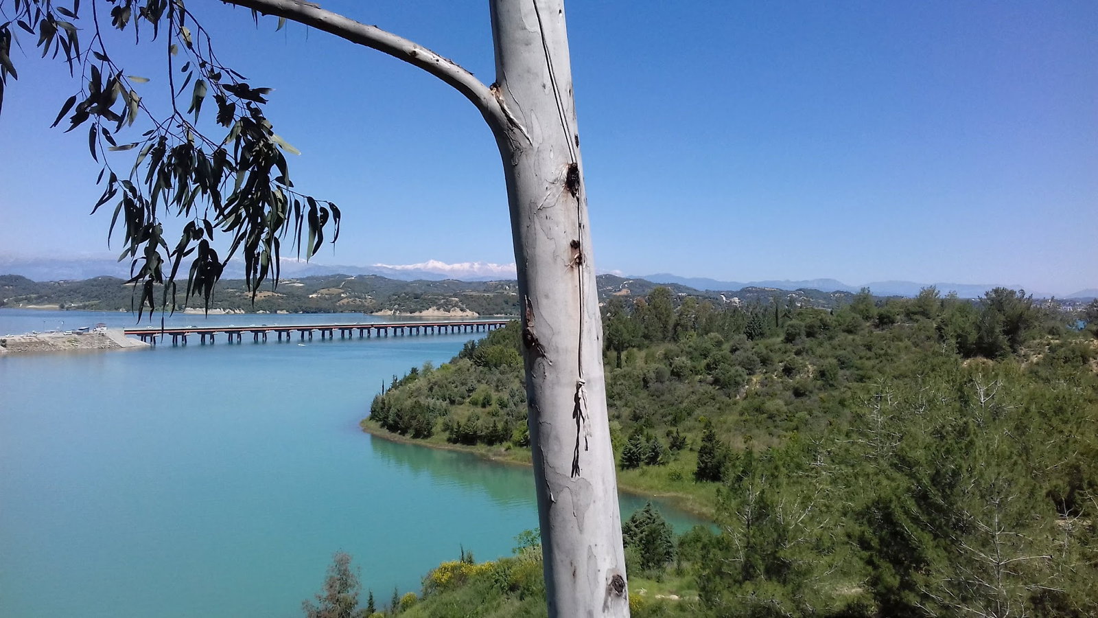 Kayalı Cafe Restaurant