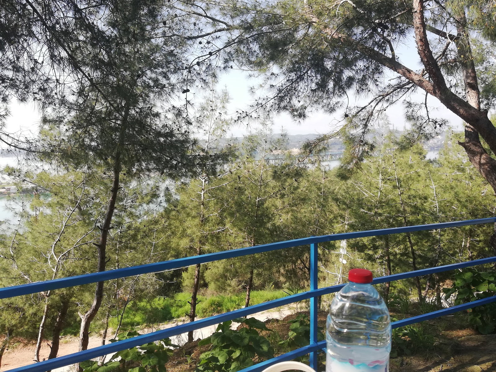 Kayalı Cafe Restaurant