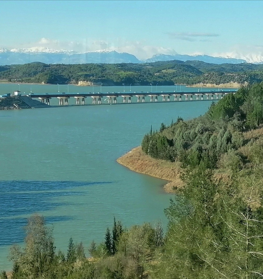 Kayalı Cafe Restaurant