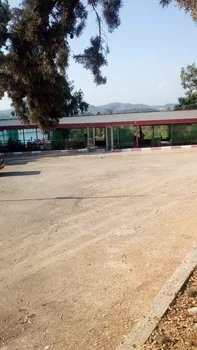 Kayalı Cafe Restaurant resimleri