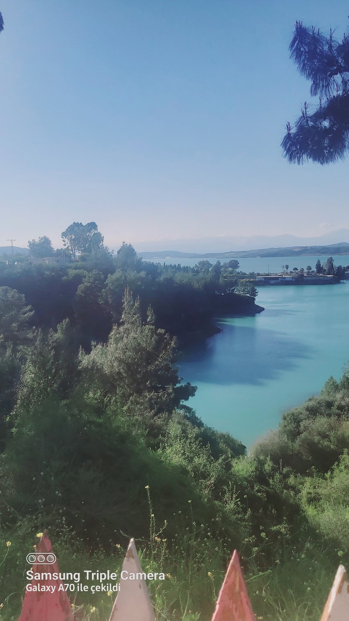 Kayalı Cafe Restaurant