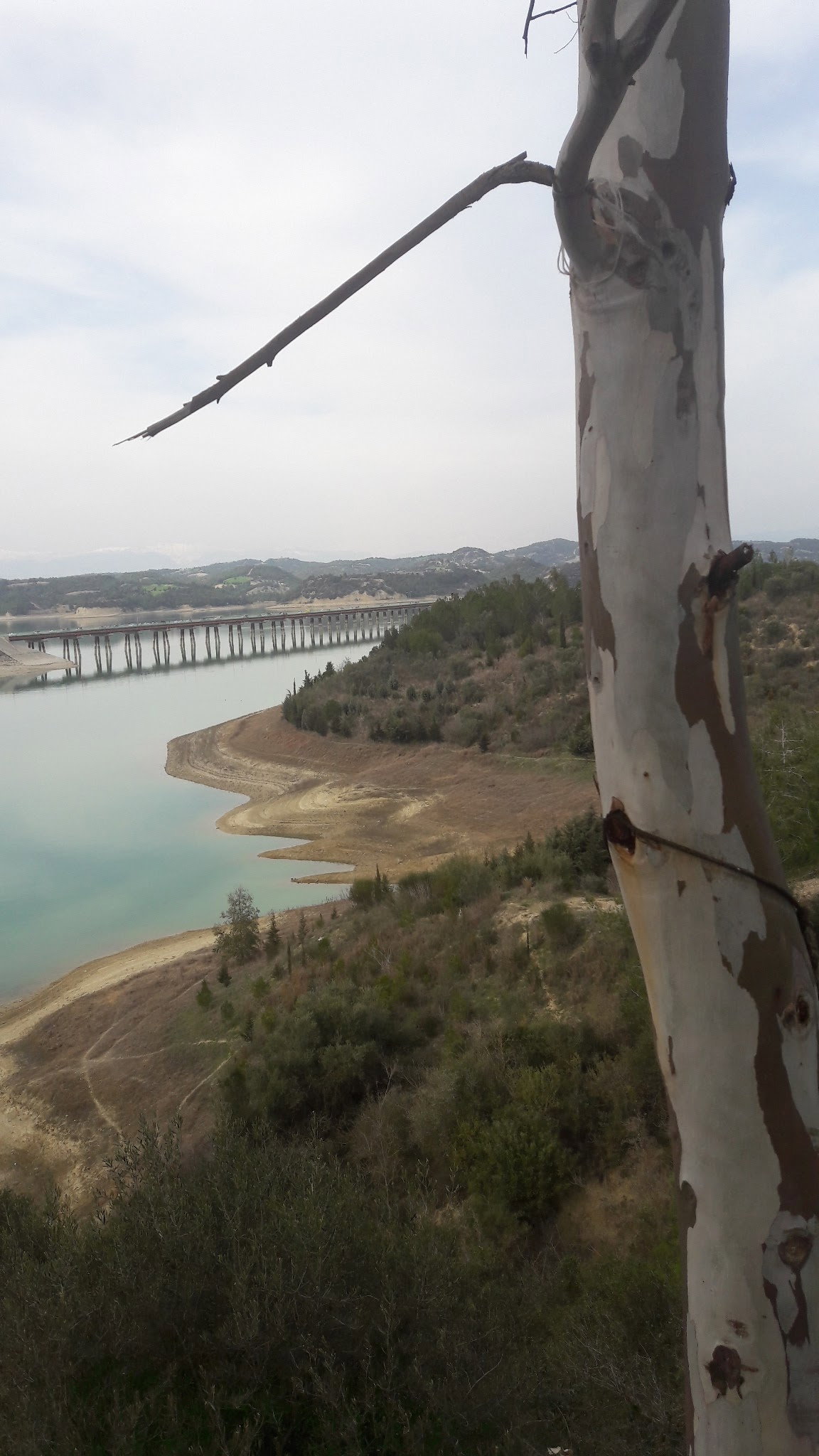 Kayalı Cafe Restaurant