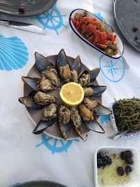 Mutlu Balik