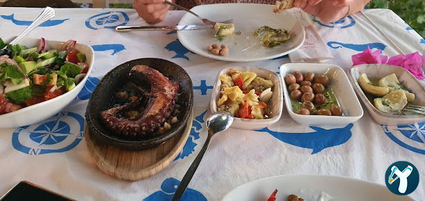 Mutlu Balik