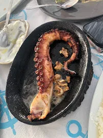 Mutlu Balik resimleri