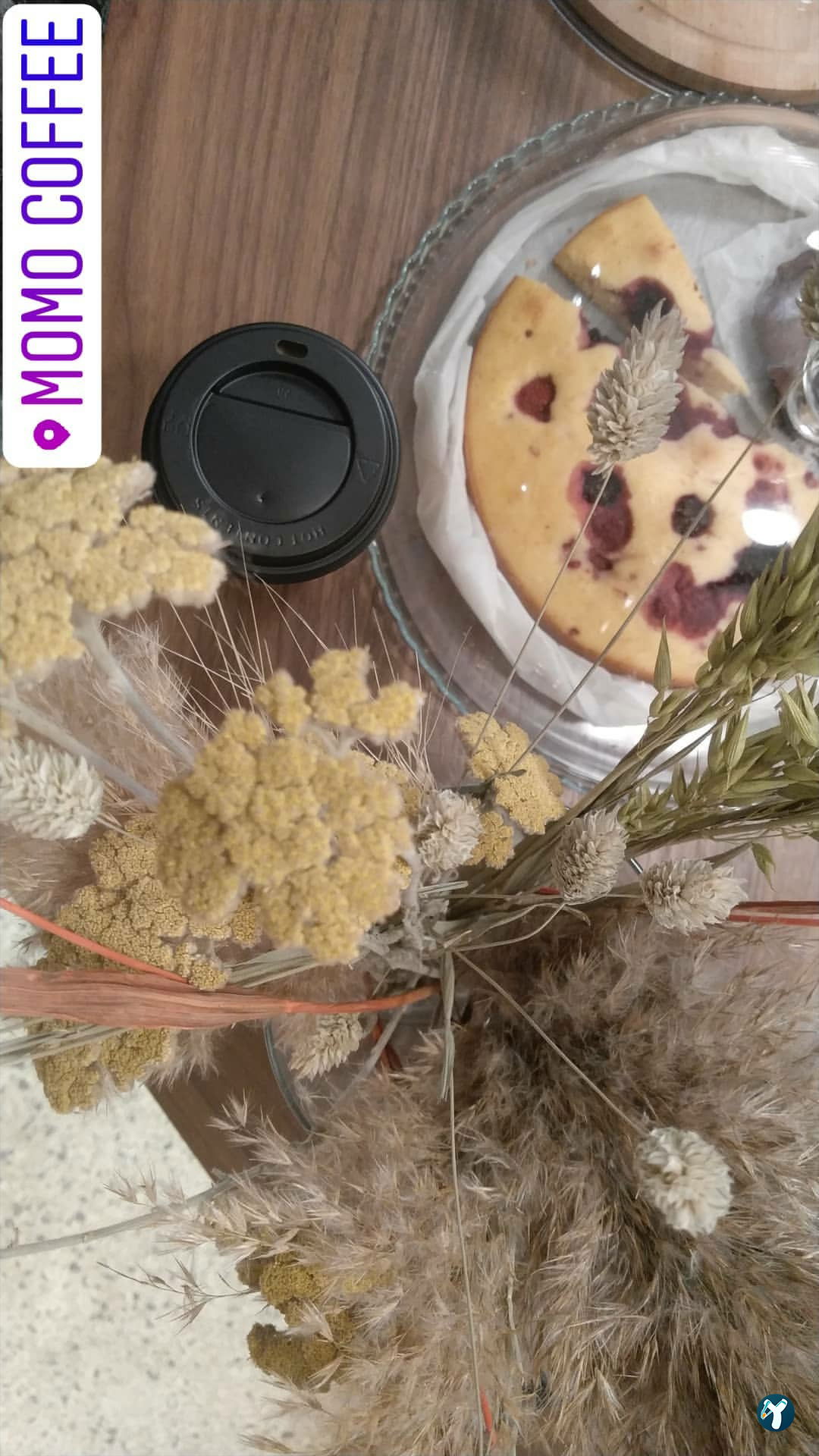 Momo Coffee House