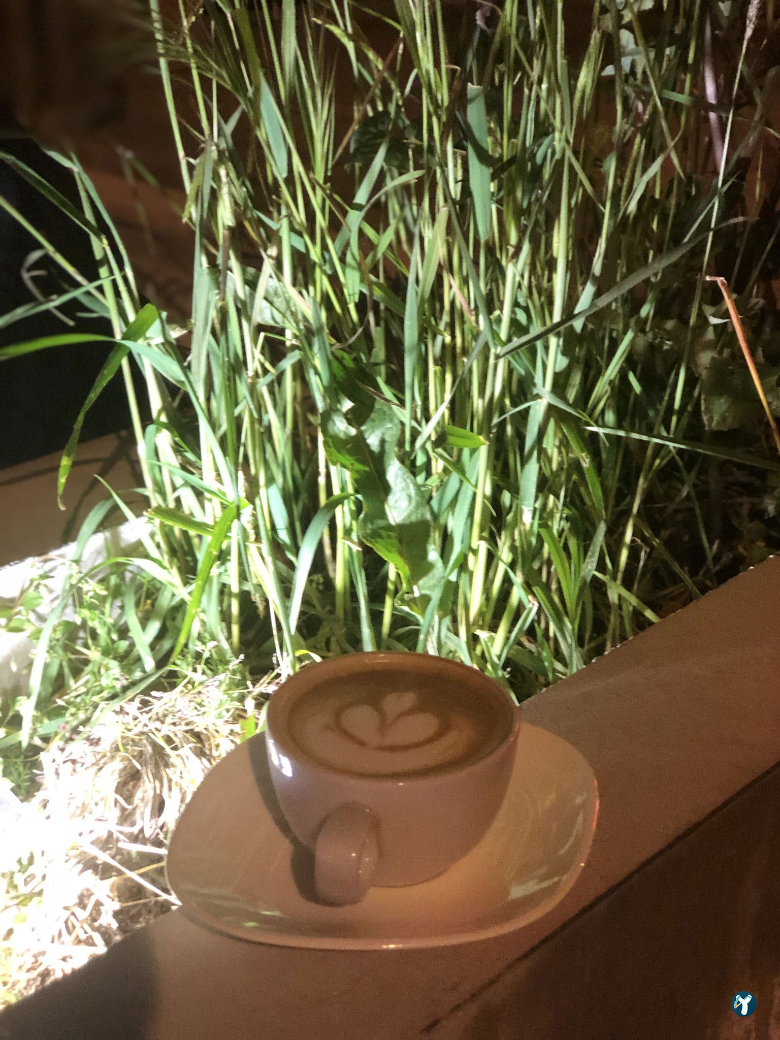 Momo Coffee House