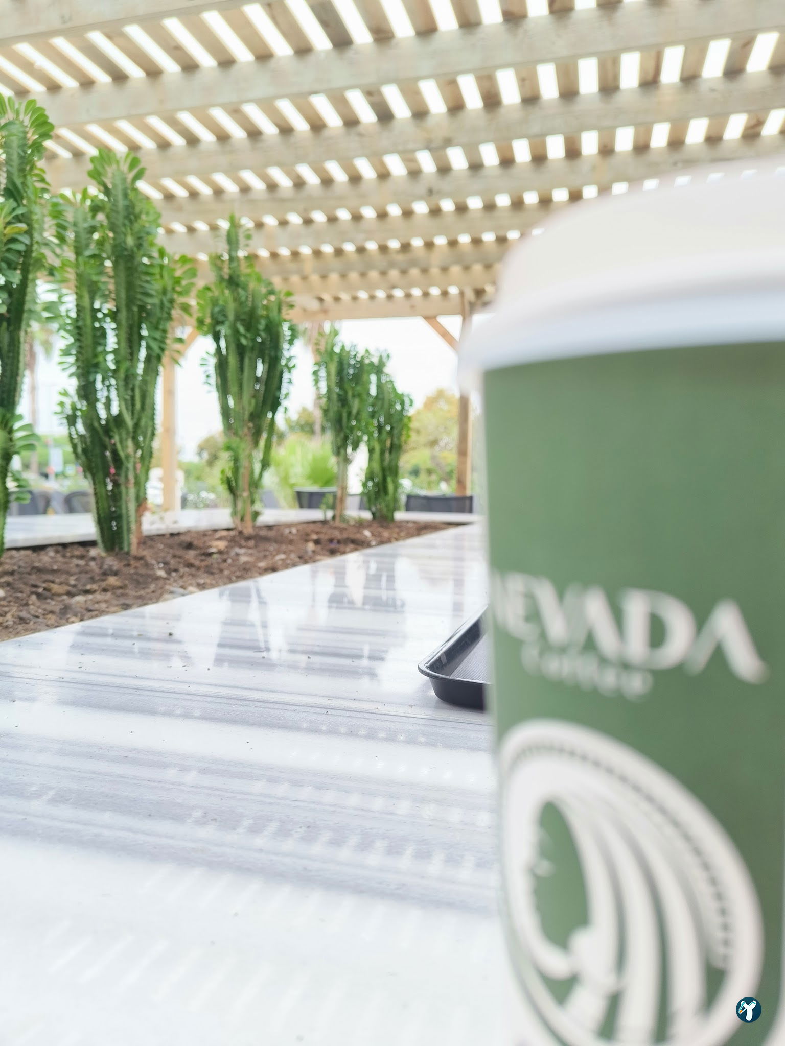 Nevada Coffee
