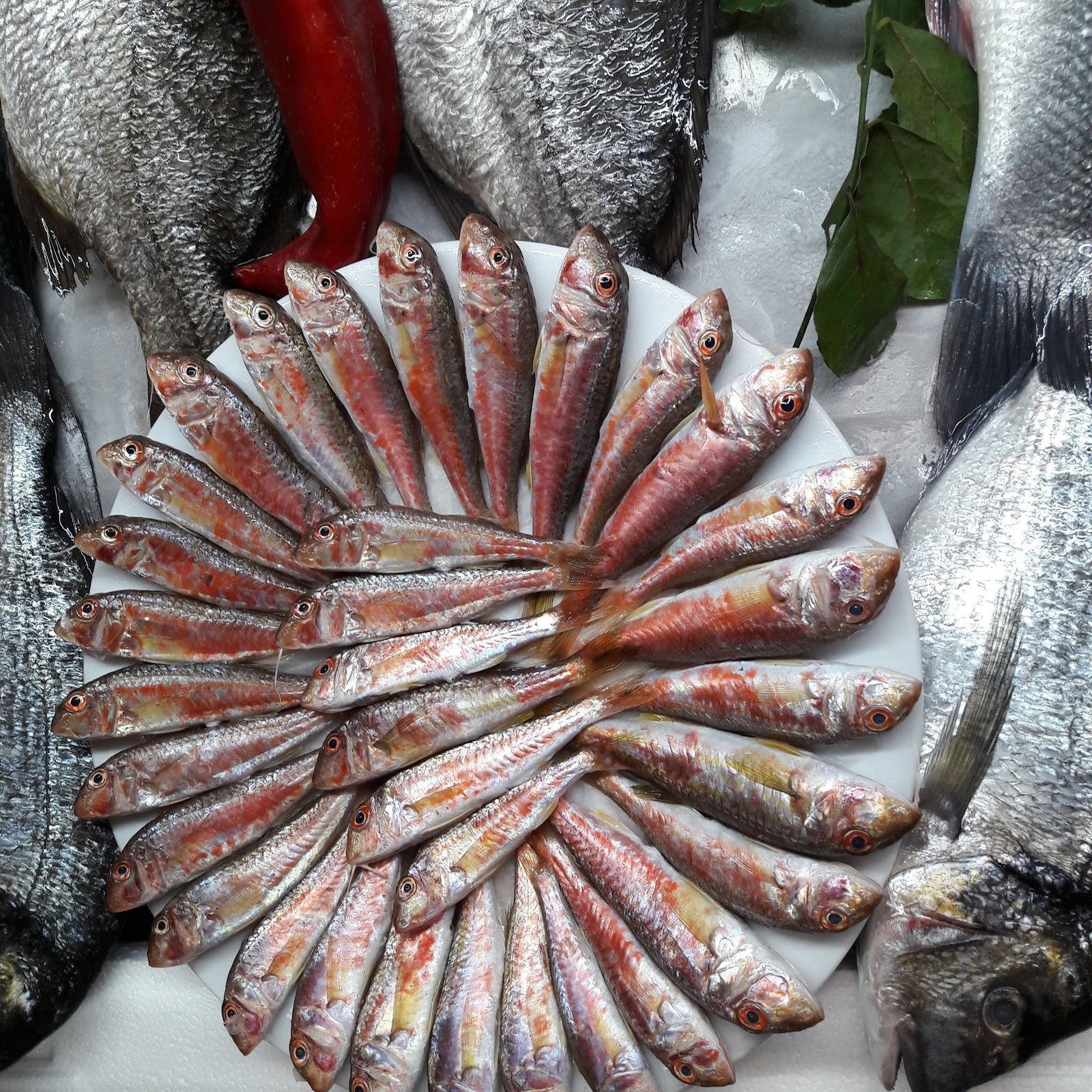 Kısmet Balık Restaurant