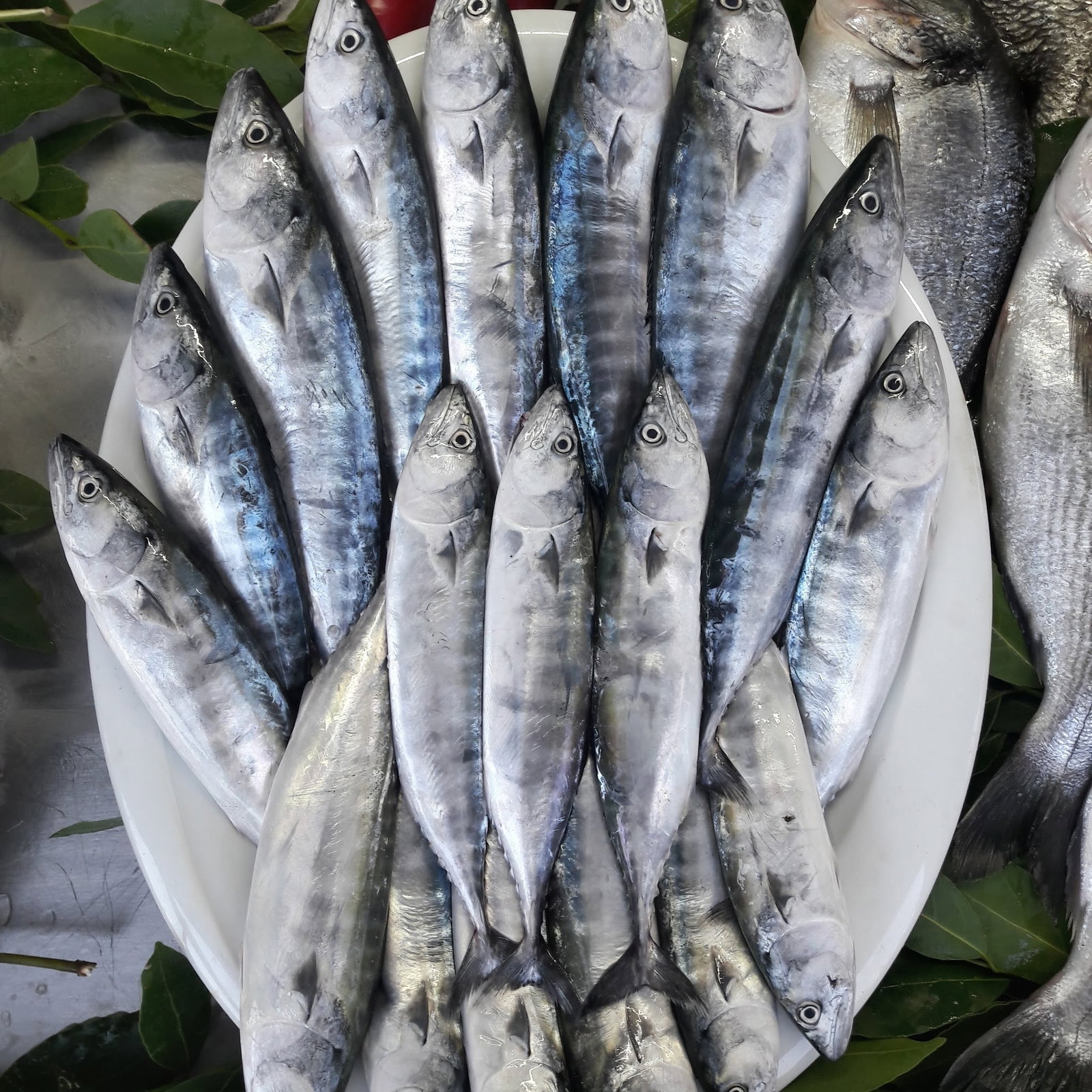 Kısmet Balık Restaurant