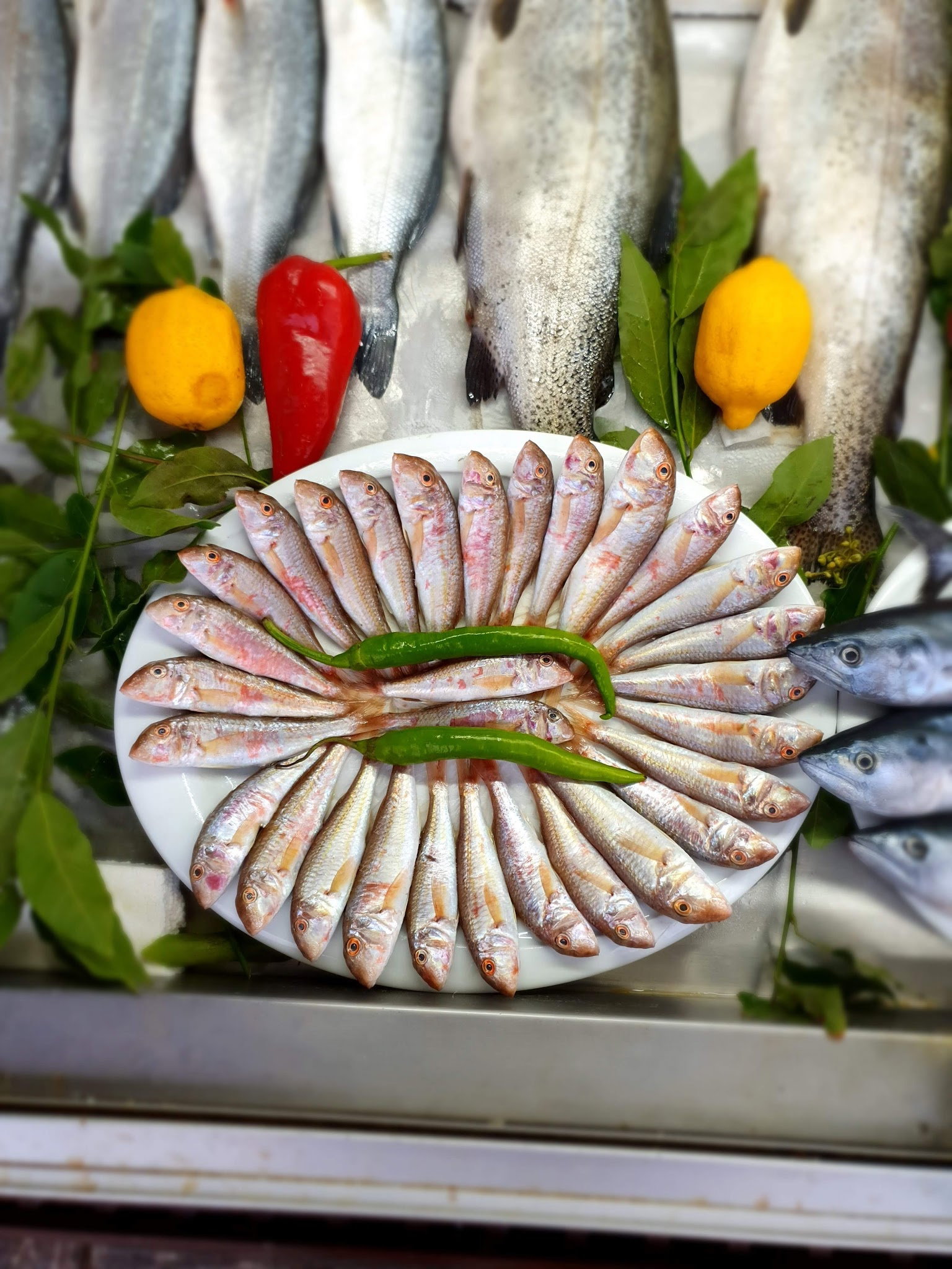 Kısmet Balık Restaurant