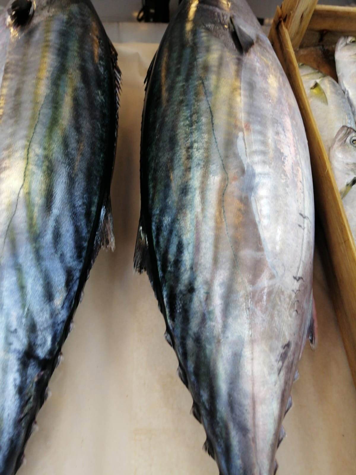 Çayirli Balik (Zeytinburnu Olivium Avm Karşısı)