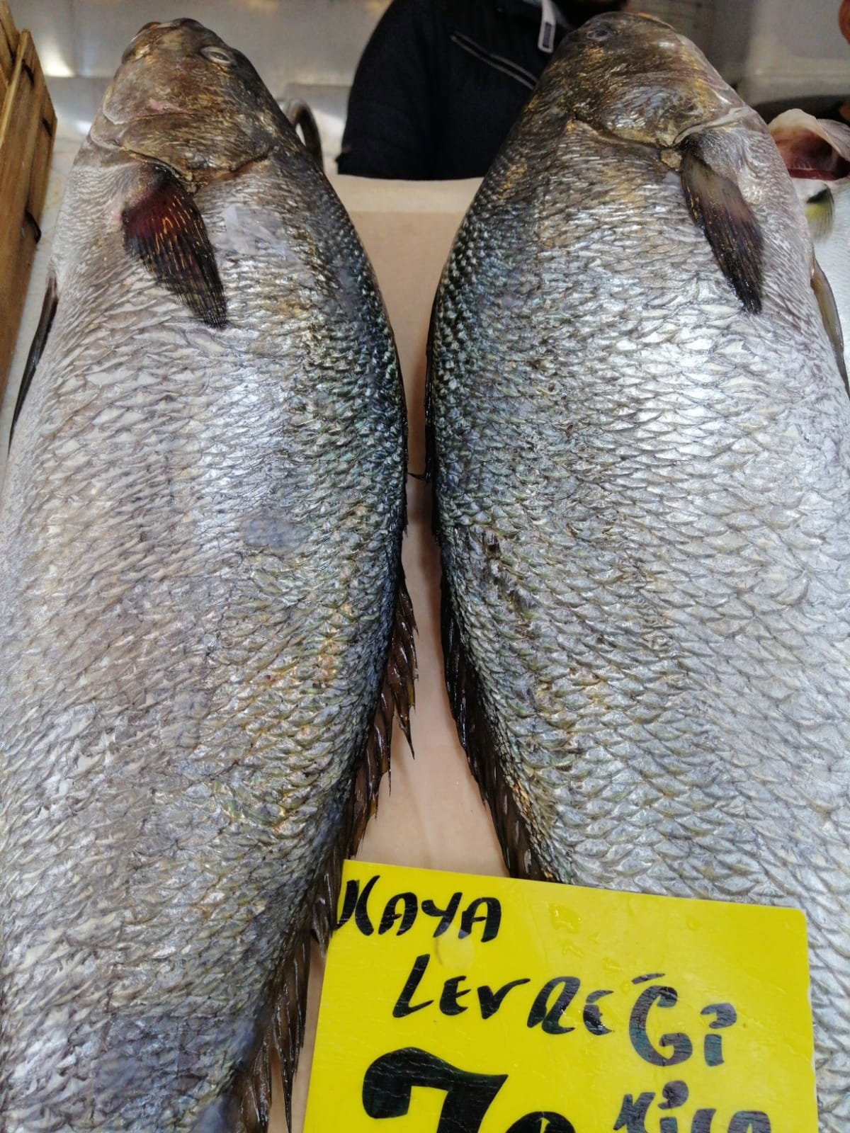 Çayirli Balik (Zeytinburnu Olivium Avm Karşısı)