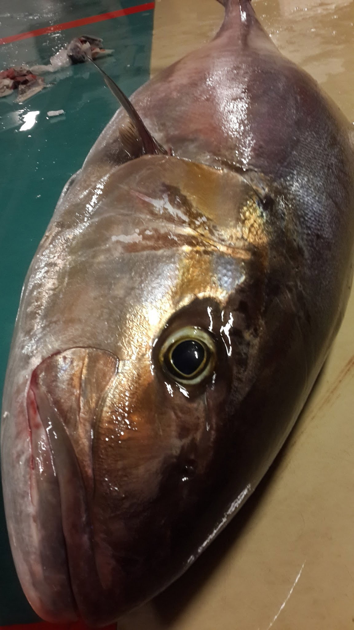 Çayirli Balik (Zeytinburnu Olivium Avm Karşısı)