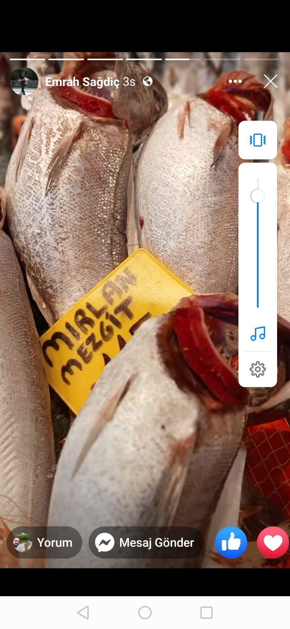 Çayirli Balik (Zeytinburnu Olivium Avm Karşısı)