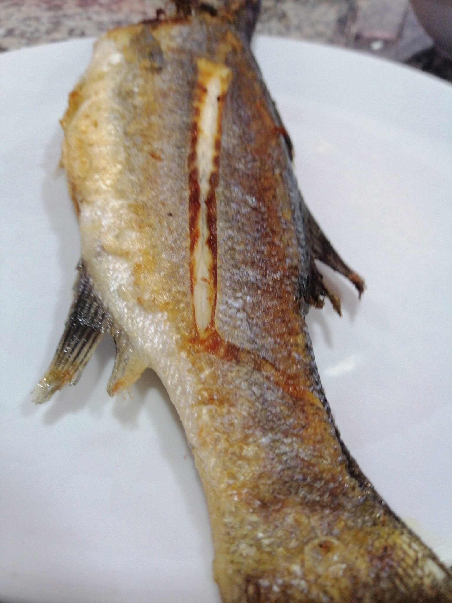 Çayirli Balik (Zeytinburnu Olivium Avm Karşısı)