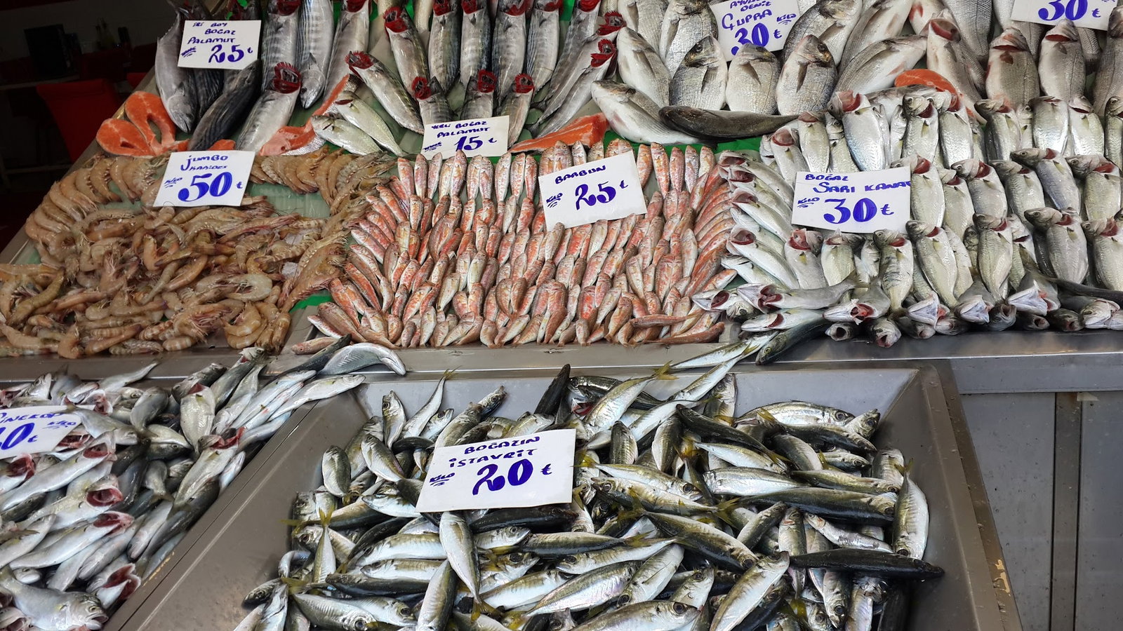 Çayirli Balik (Zeytinburnu Olivium Avm Karşısı)