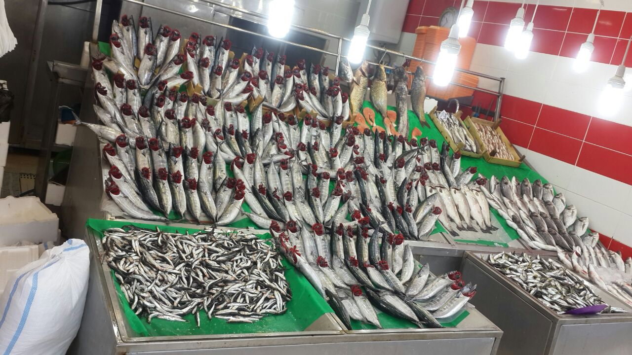 Çayirli Balik (Zeytinburnu Olivium Avm Karşısı)