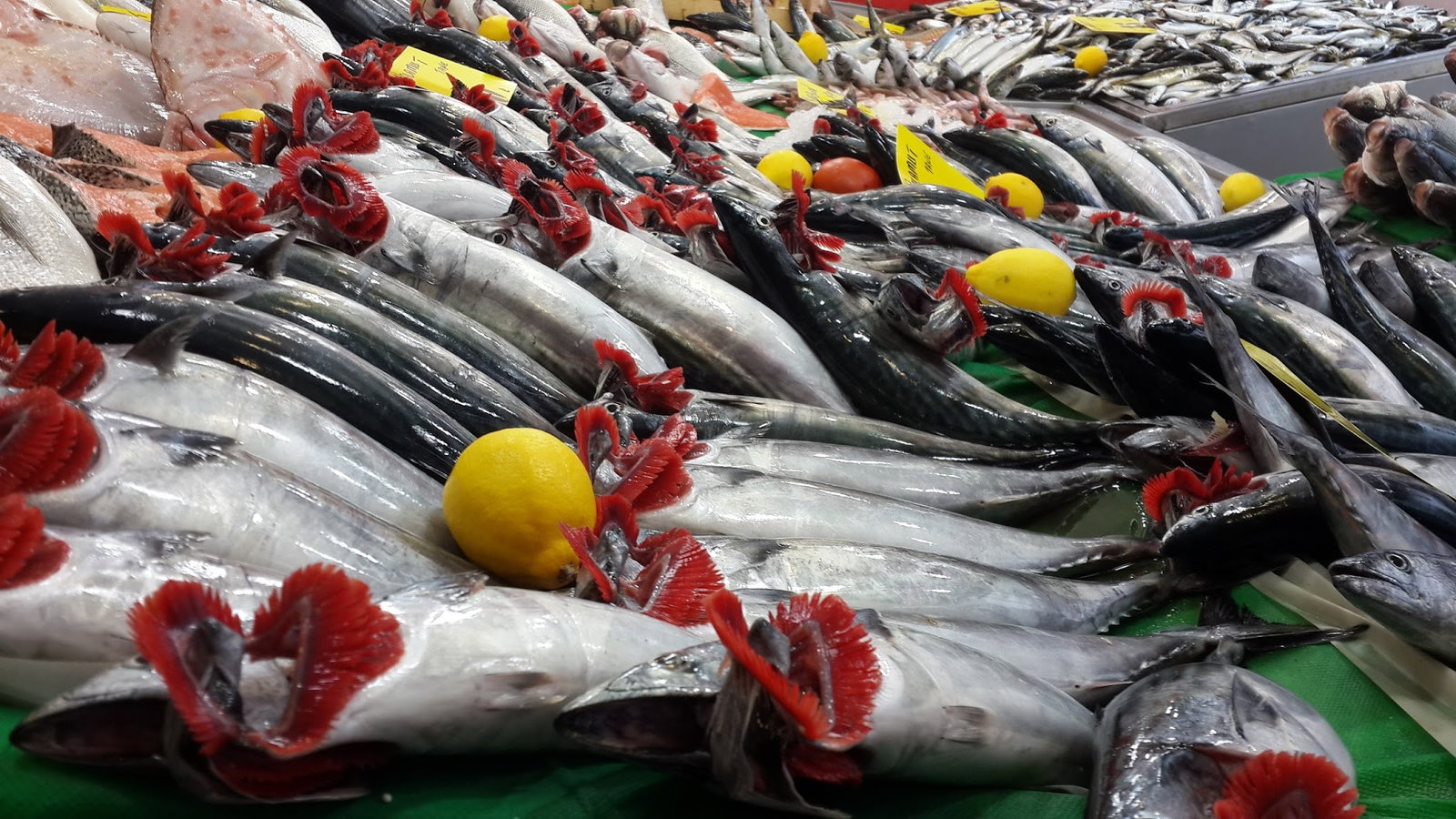 Çayirli Balik (Zeytinburnu Olivium Avm Karşısı)