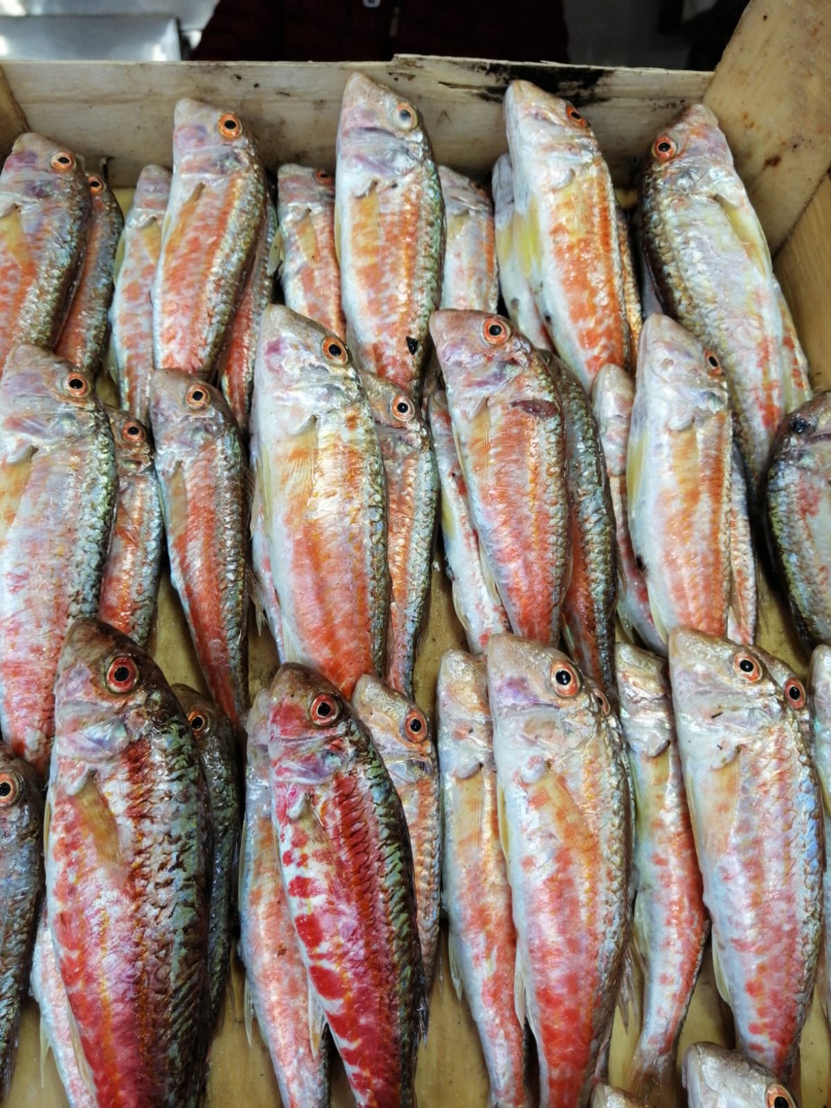 Çayirli Balik (Zeytinburnu Olivium Avm Karşısı)