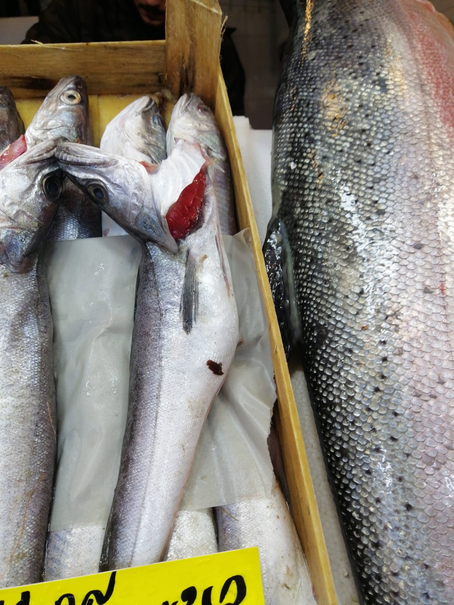 Çayirli Balik (Zeytinburnu Olivium Avm Karşısı)