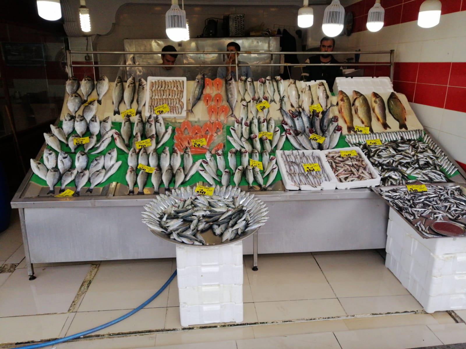 Çayirli Balik (Zeytinburnu Olivium Avm Karşısı)