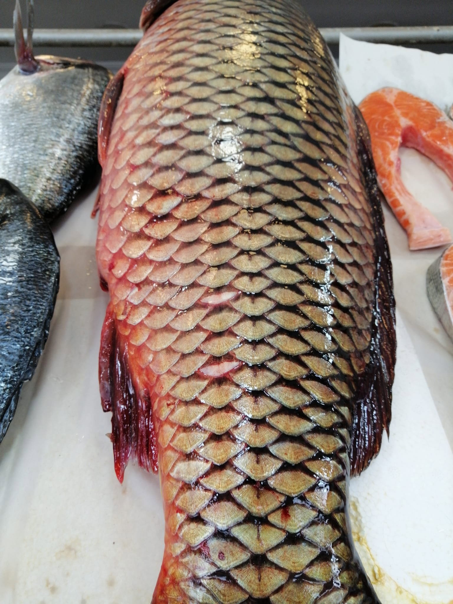 Çayirli Balik (Zeytinburnu Olivium Avm Karşısı)