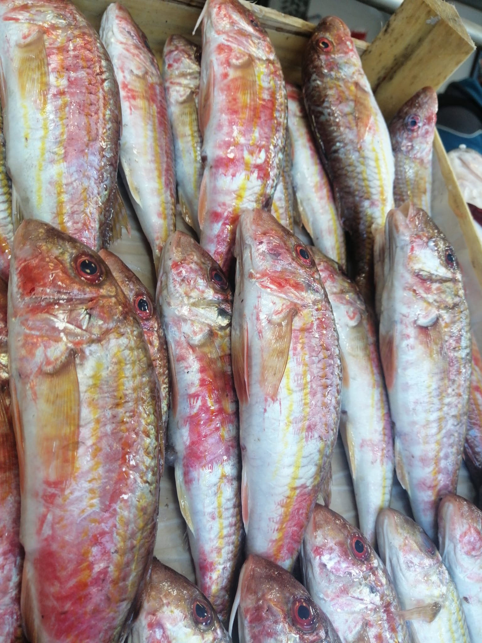 Çayirli Balik (Zeytinburnu Olivium Avm Karşısı)