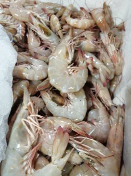 Çayirli Balik (Zeytinburnu Olivium Avm Karşısı) resimleri