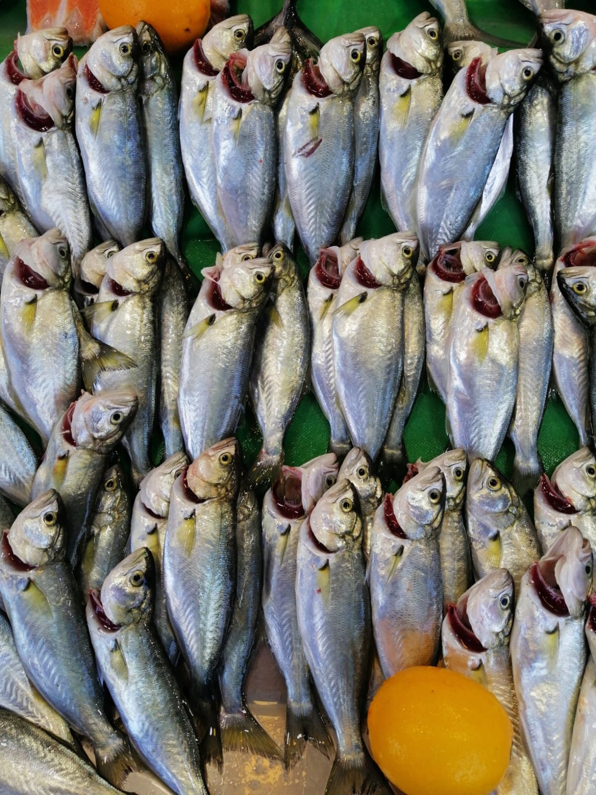 Çayirli Balik (Zeytinburnu Olivium Avm Karşısı)