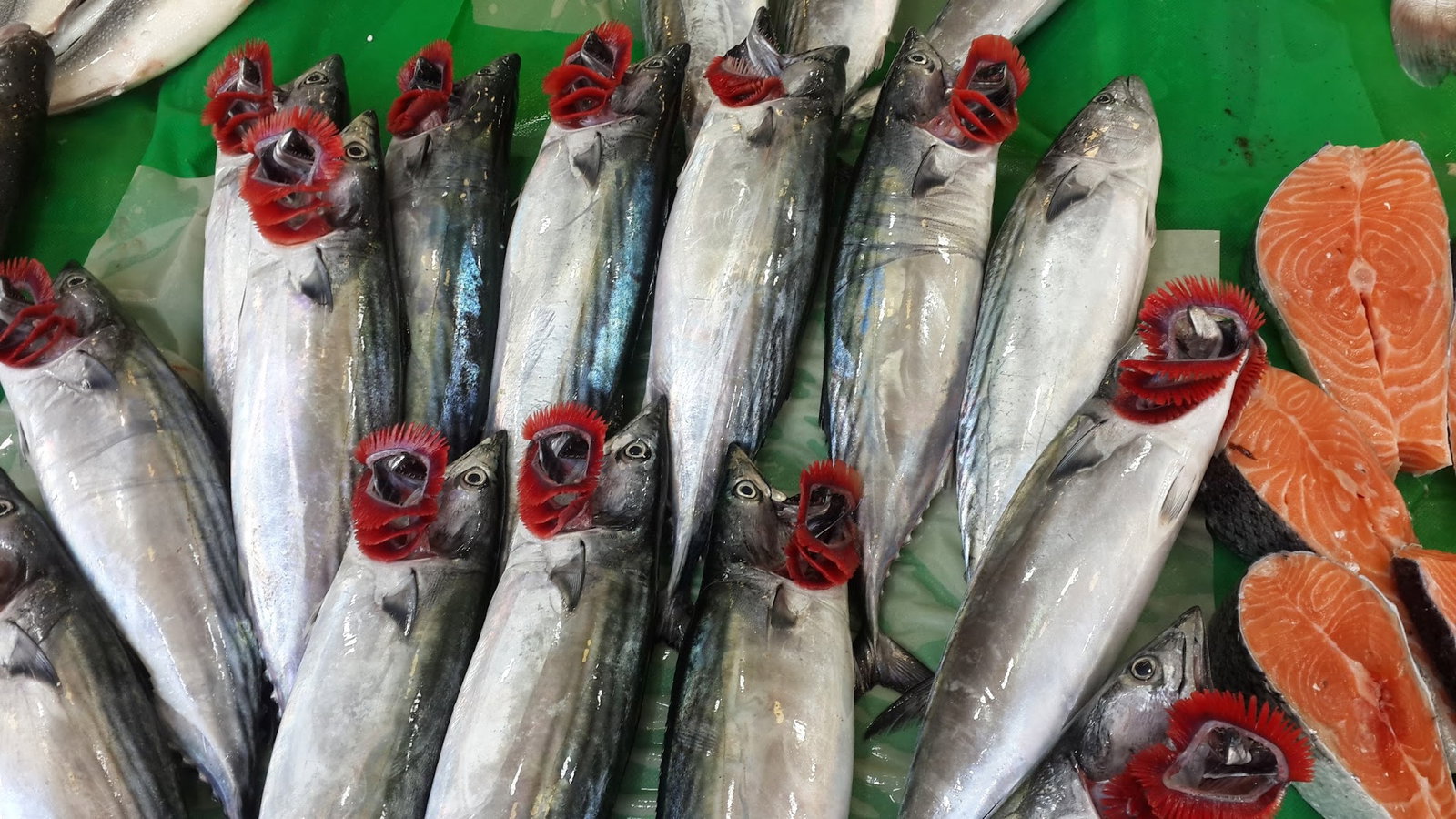 Çayirli Balik (Zeytinburnu Olivium Avm Karşısı)