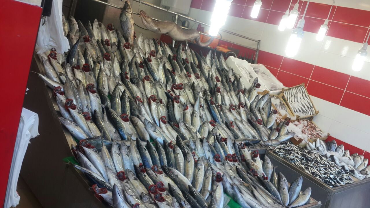 Çayirli Balik (Zeytinburnu Olivium Avm Karşısı)