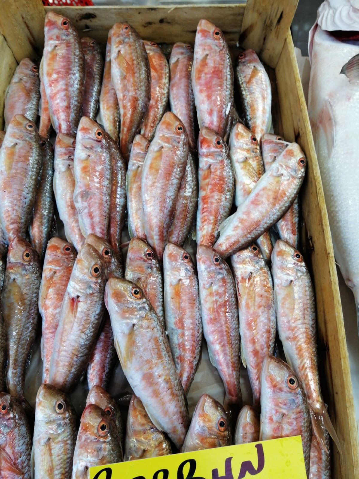 Çayirli Balik (Zeytinburnu Olivium Avm Karşısı)