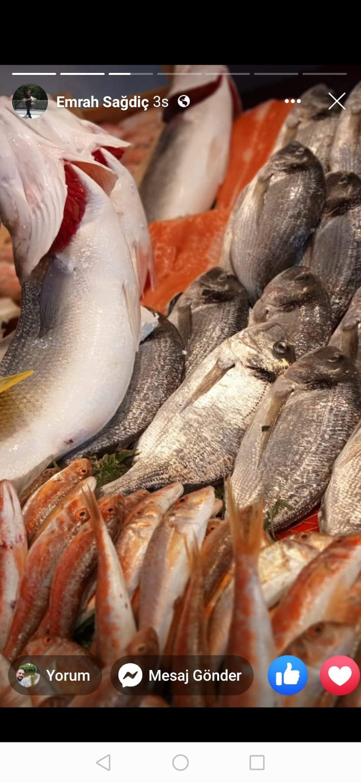 Çayirli Balik (Zeytinburnu Olivium Avm Karşısı)