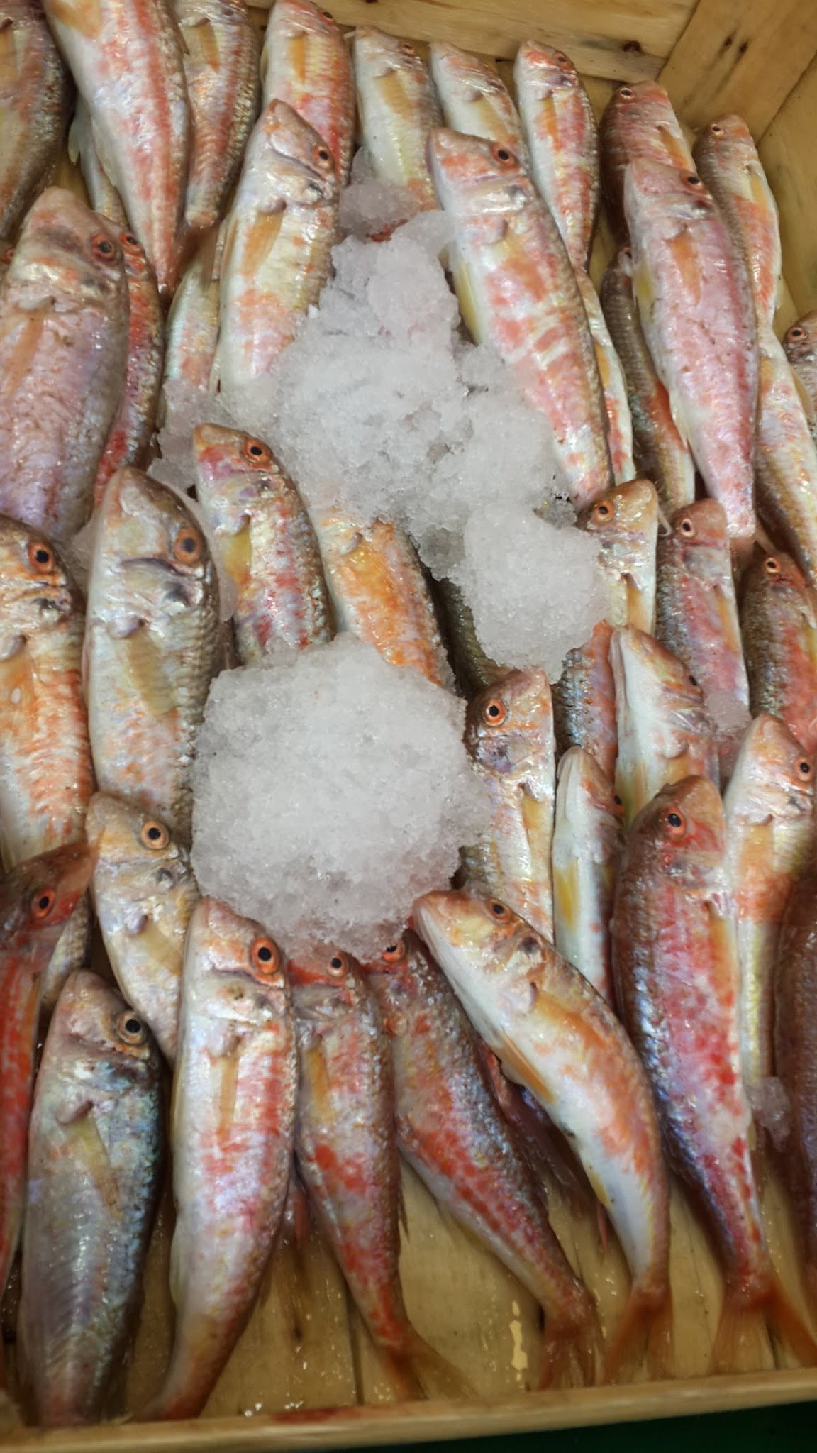 Çayirli Balik (Zeytinburnu Olivium Avm Karşısı)