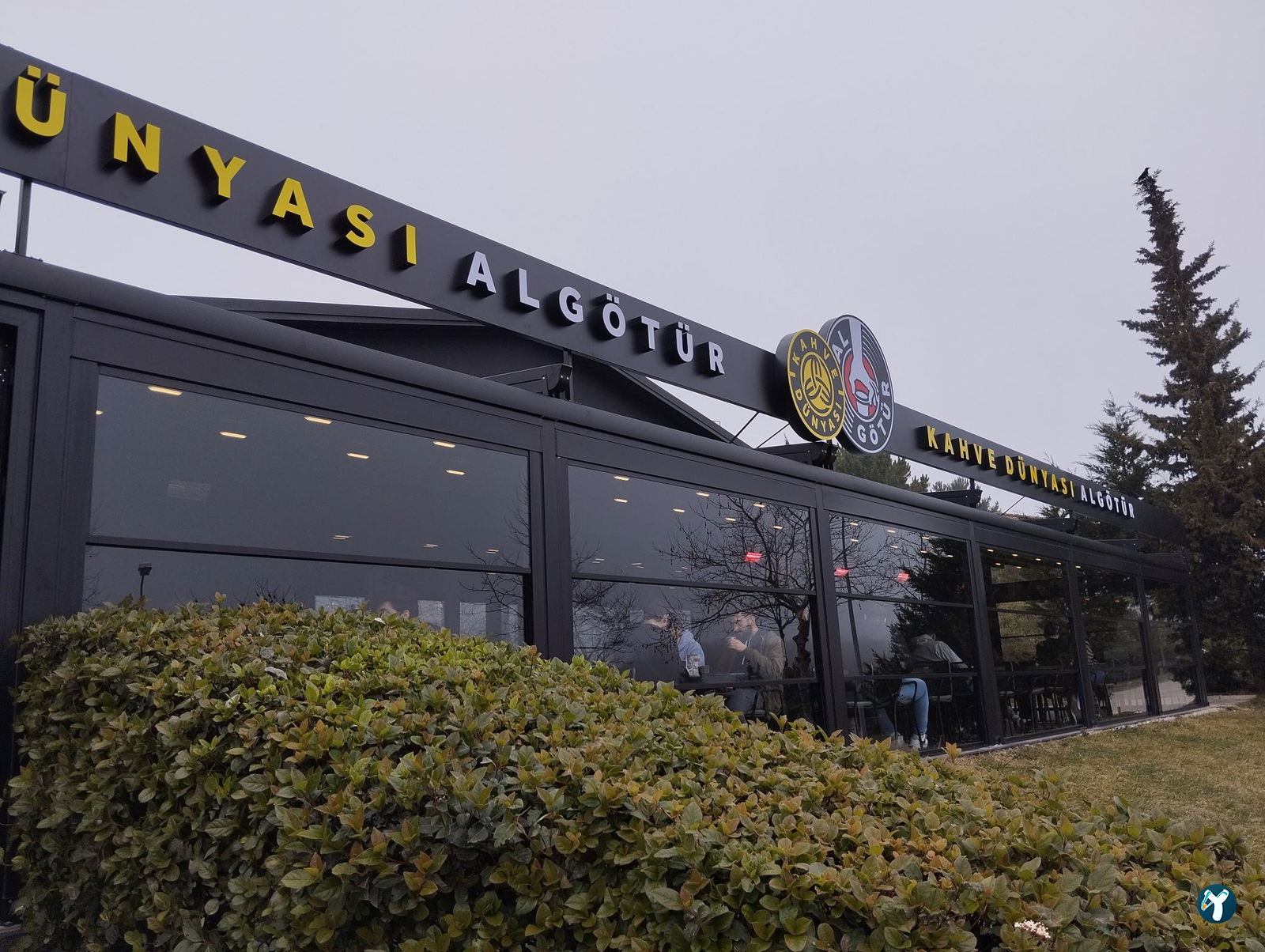 Kahve Dünyası Algötür – Işık Üniversitesi