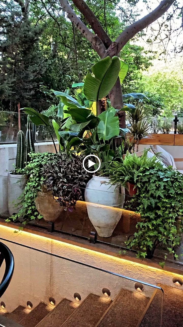 The Red Balloon Restoran & Bar