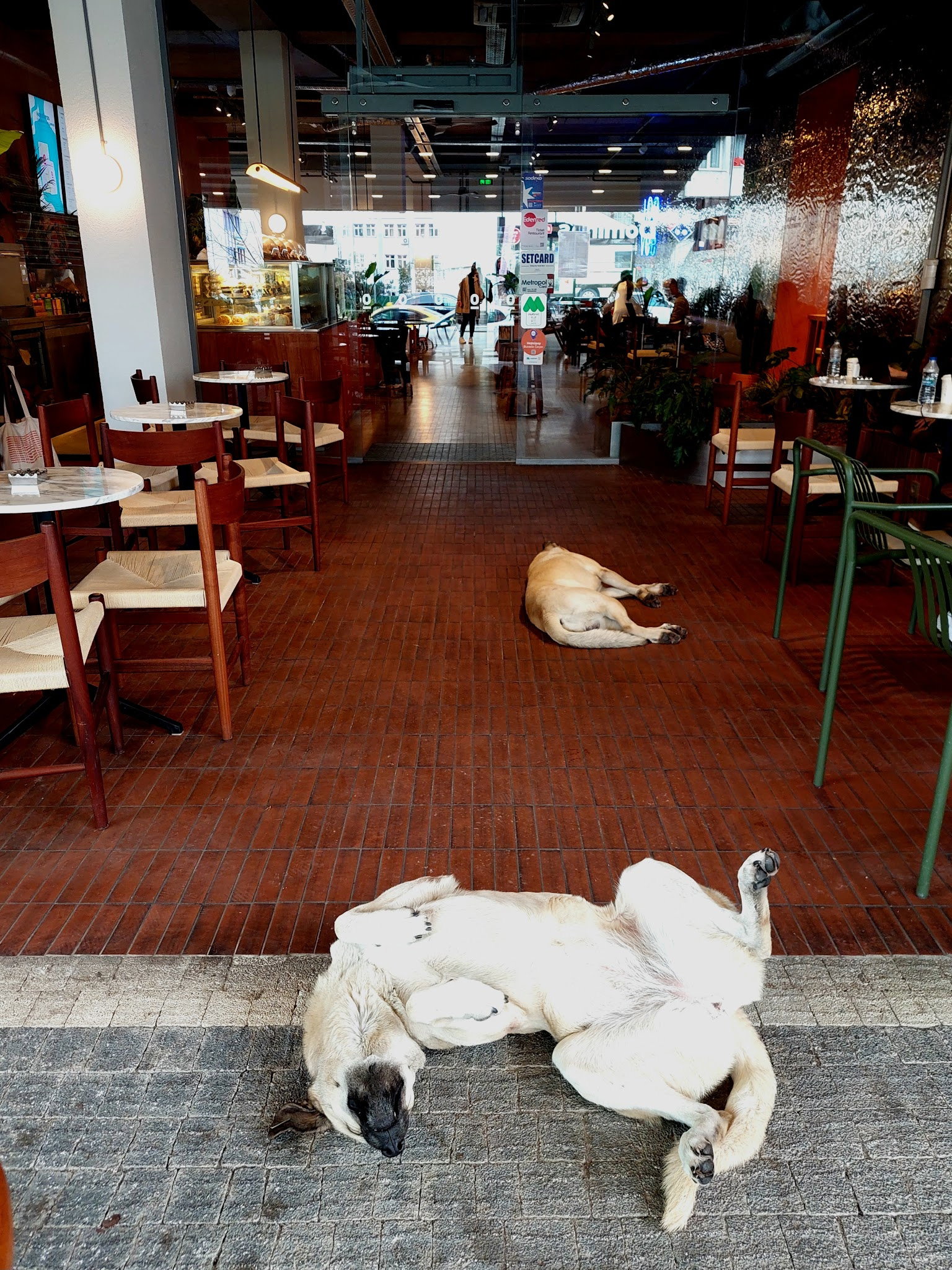 Espressolab Maltepe İdealtepe