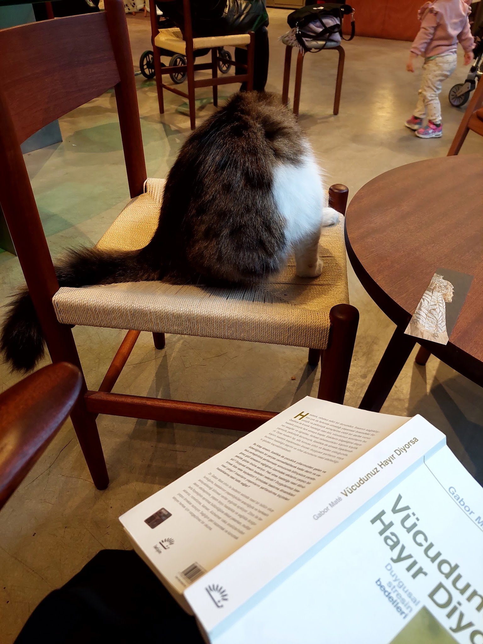 Espressolab Maltepe İdealtepe