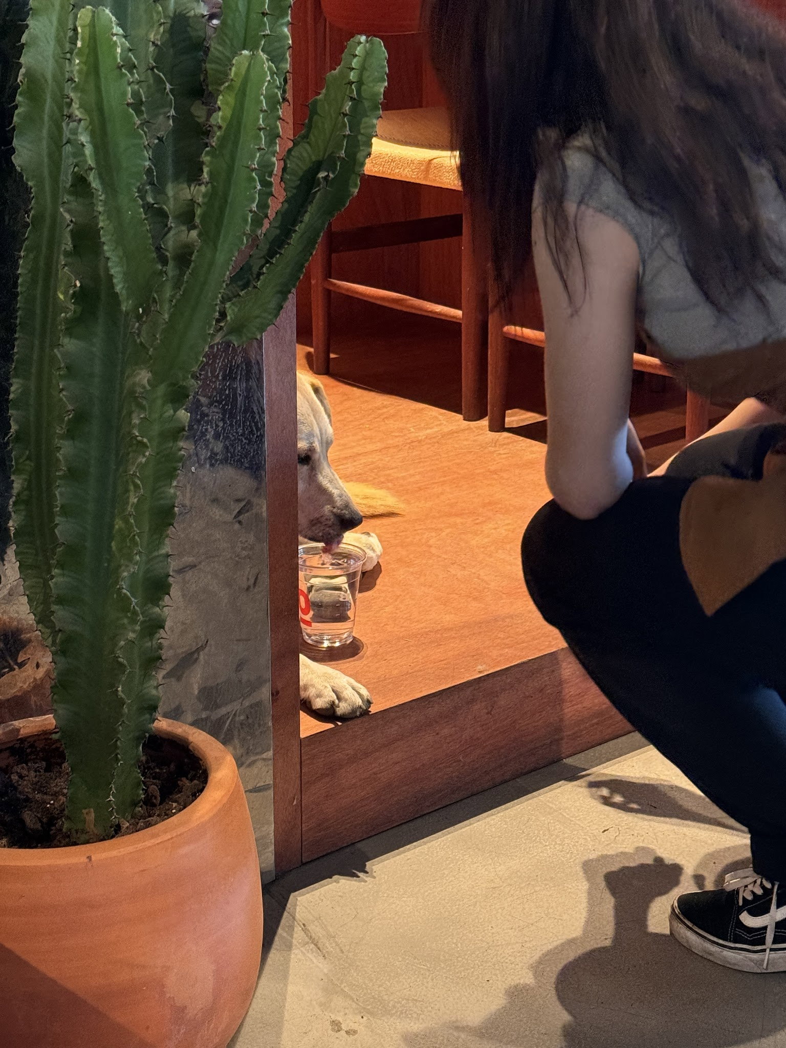 Espressolab Maltepe İdealtepe