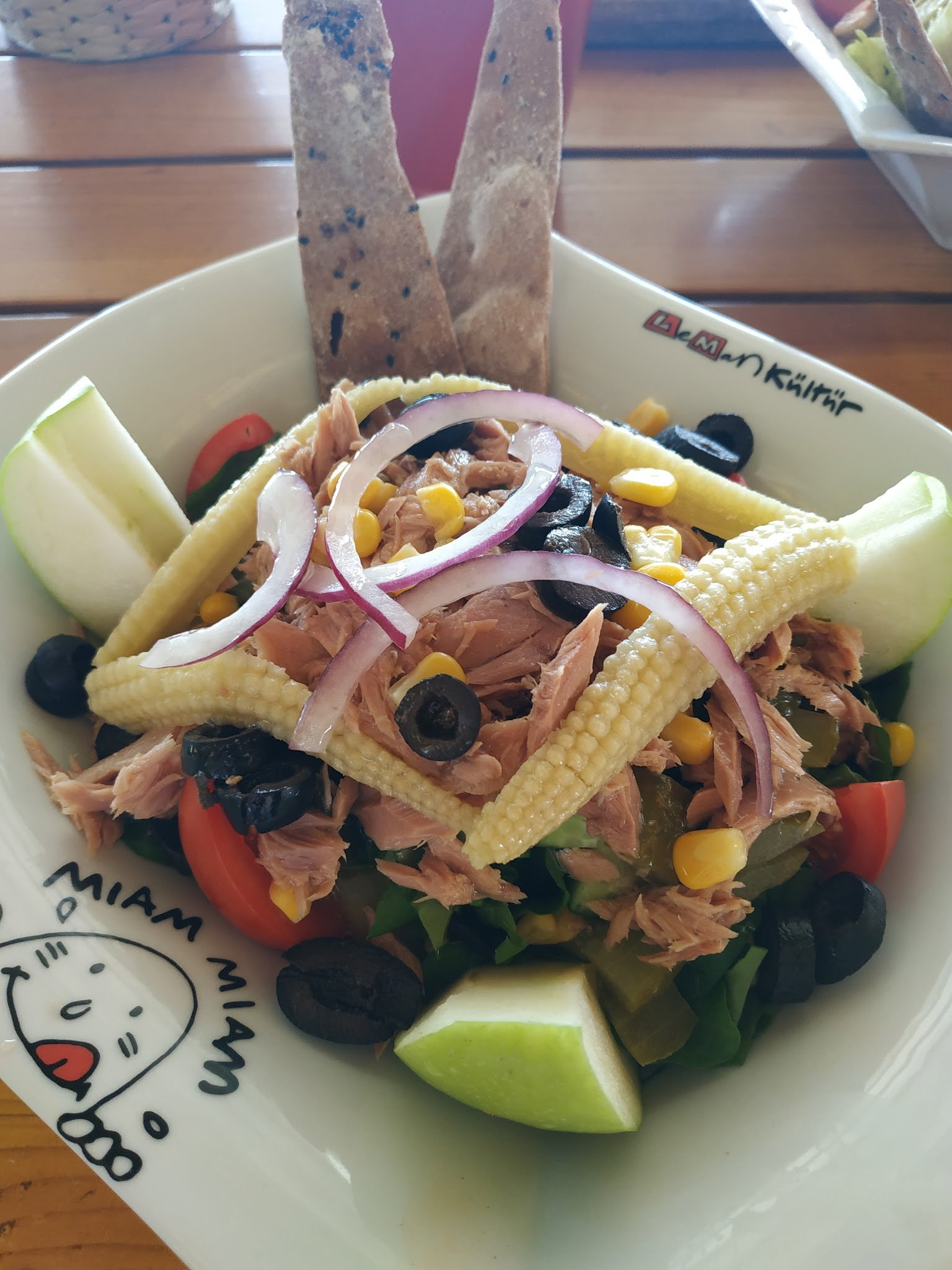 Leman Kültür Alanya