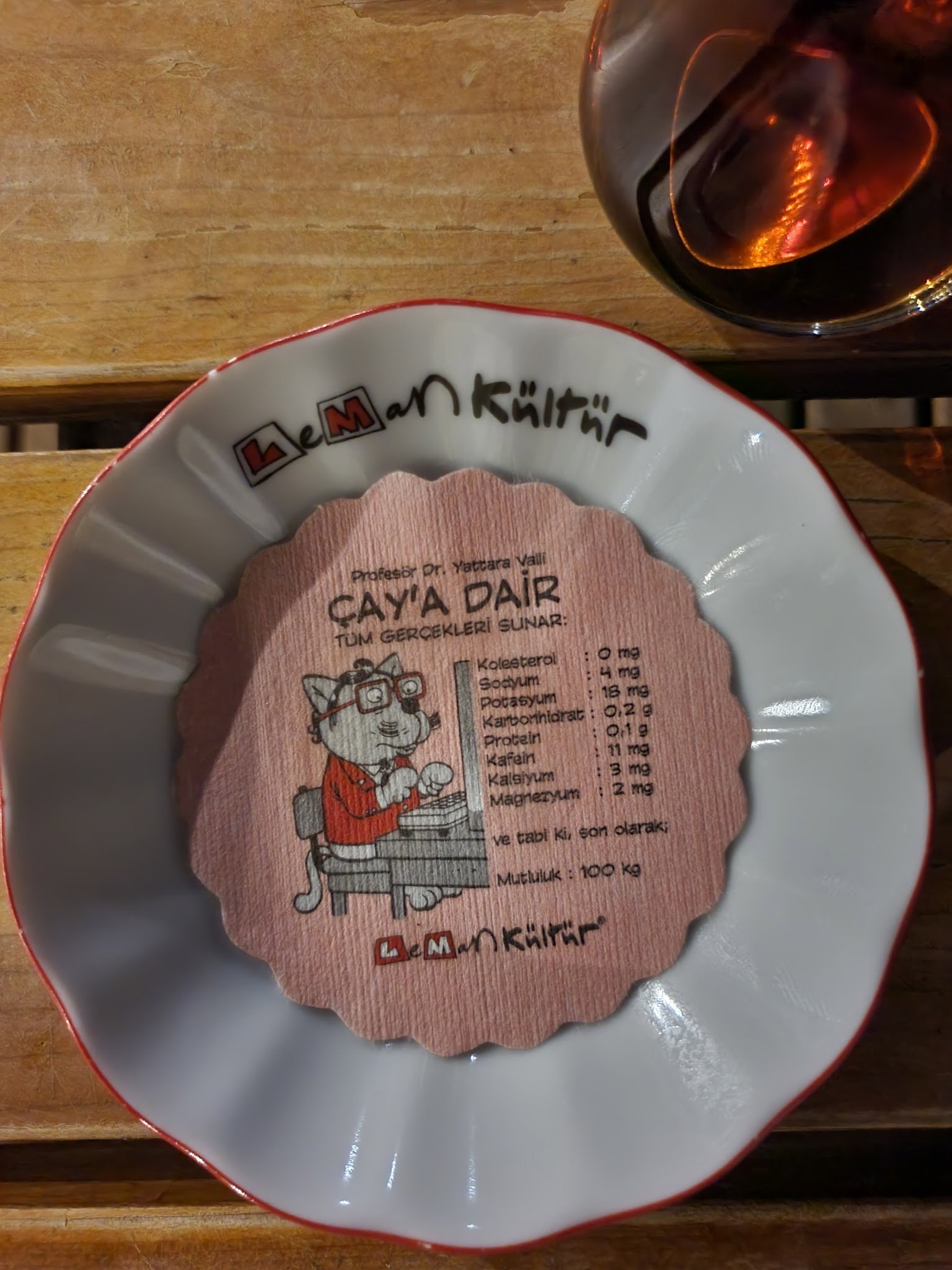 Leman Kültür Alanya