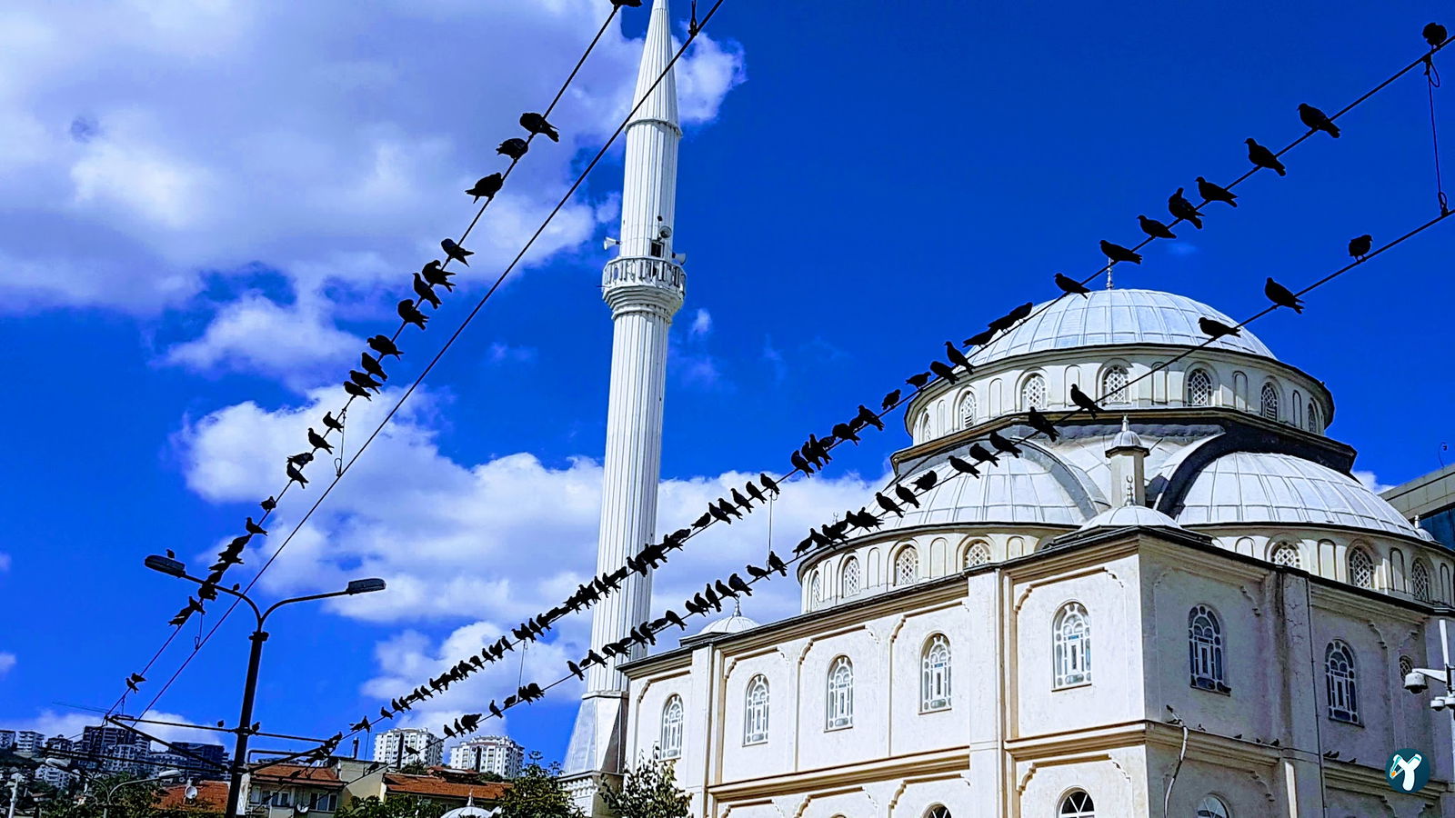 Sıla Kafe