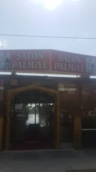 Palmiye Cafe resimleri