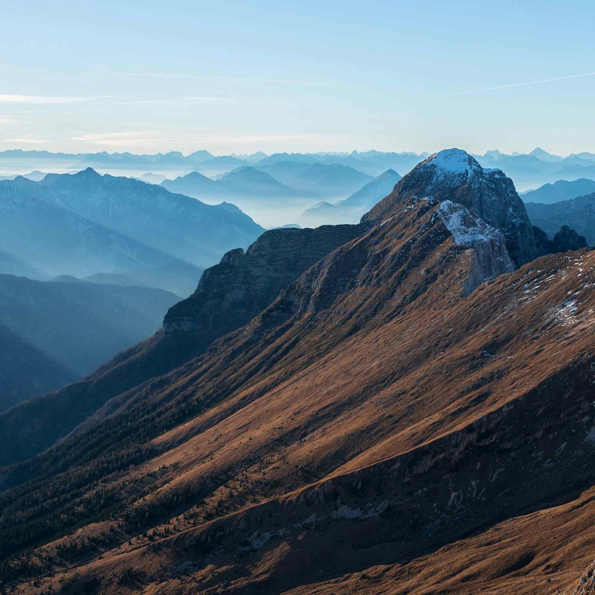 Greasy Spoon Restaurant