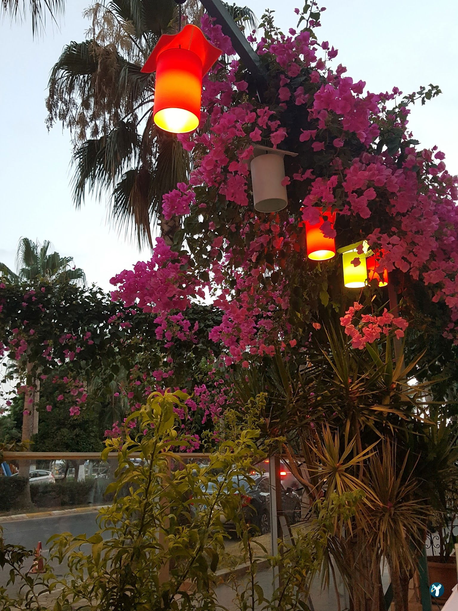 Orfoz Balık Restaurant