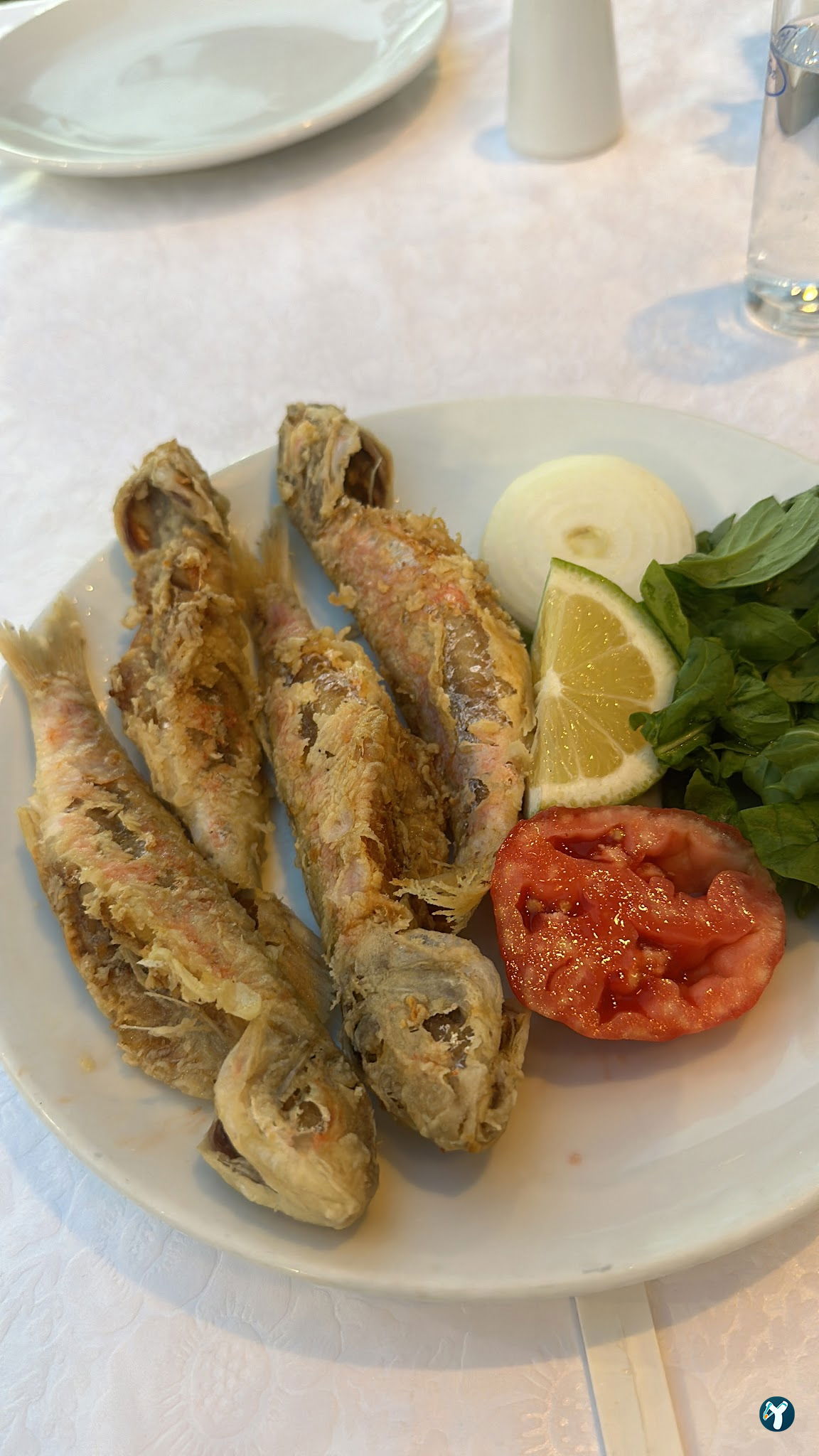 Orfoz Balık Restaurant