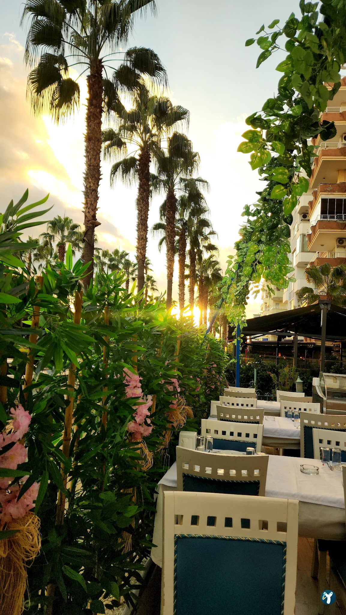 Orfoz Balık Restaurant